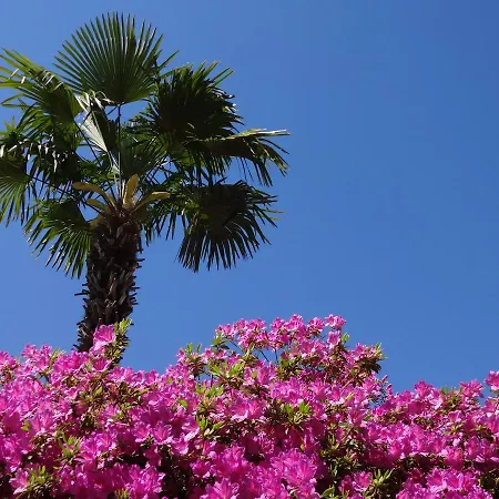 Lägenhetshotell Residenza Paradiso Di Vacanze 2*